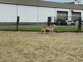 Bredene (Belgium)